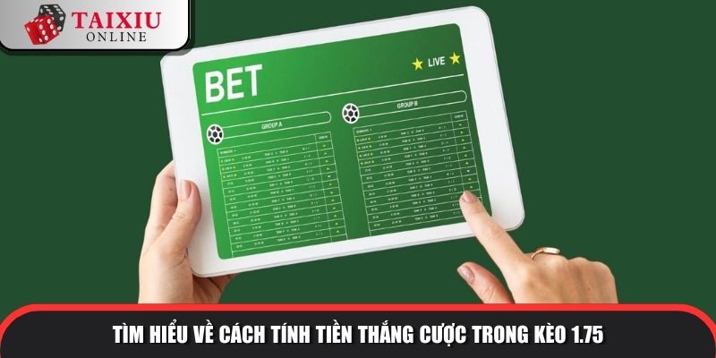 tai xiu 175 2 981 Tìm hiểu về cách tính tiền thắng cược trong kèo 1.75