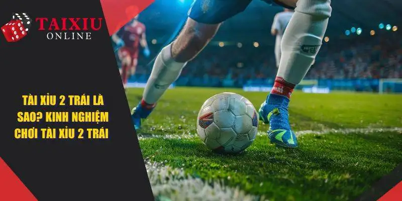 Tài Xỉu 2 Trái Là Sao? Bỏ Túi Mẹo Chơi Luôn Chiến Thắng
