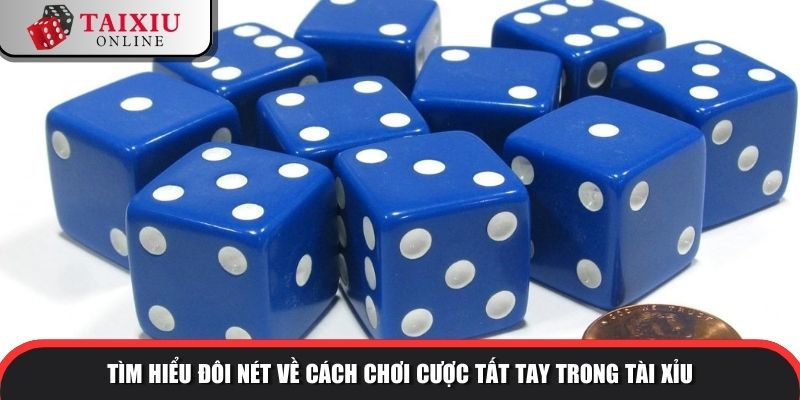 Tìm hiểu đôi nét về cách chơi cược tất tay trong tài xỉu